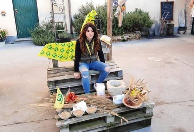 Agricoltura e Scuola, il percorso ''Buono come il pane''