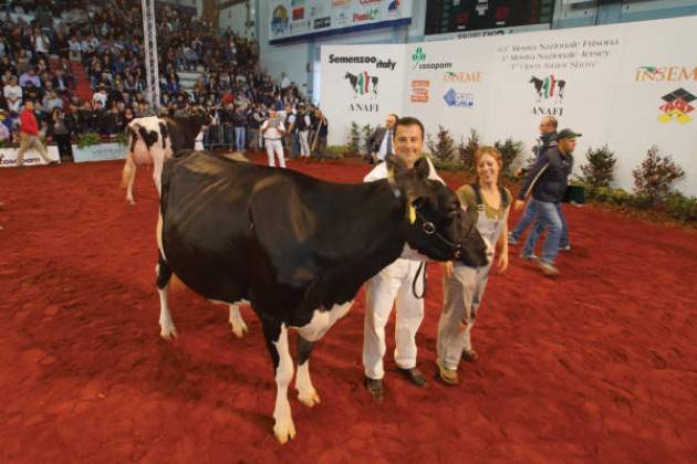 Mostra Frisona da Cremona  a Montichiari. Matteo Piloni (PD) Ennesimo schiaffo