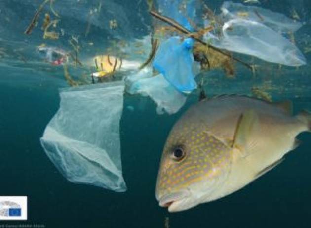 Il Parlamento europeo chiede di ridurre i rifiuti marini di pesca e acquacoltura e il polistirene espanso