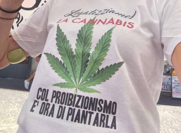 ADUC Legalizzazione cannabis. Urge! Referendum!