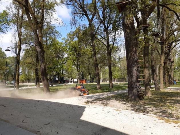 Cremona Il Parco Colonie Padane  ha riaperto Riparte anche il bar in versione take away