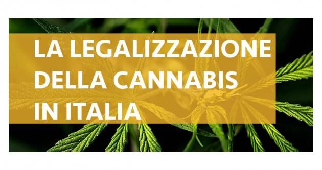 ADUC Legalizzazione cannabis. Gli irrazionali colpi di coda del proibizionismo