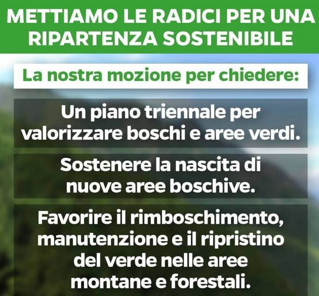 Matteo Piloni (PD) : Le proposte in regione per aumentare la biodiversità