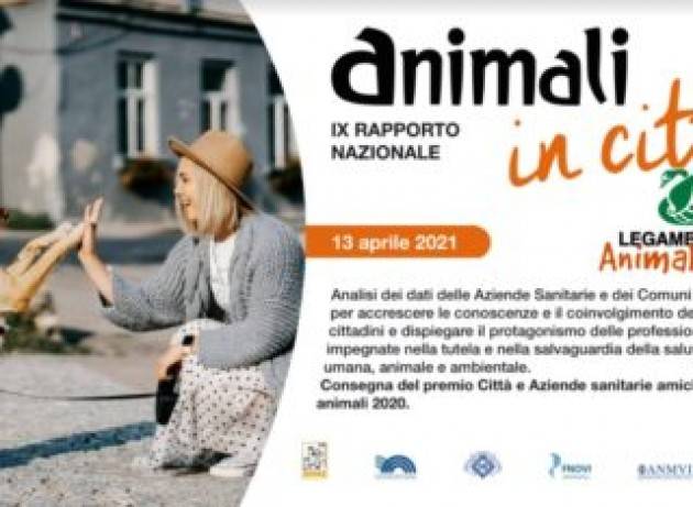 Animali in città