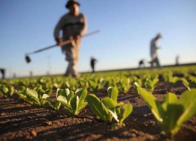 Lombardia, Voltini: ''Con Agri 5.0 investiamo sull’agricoltura del futuro''