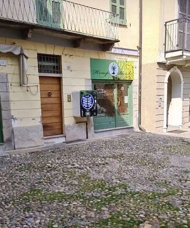 VETRINA DI NEGOZIO DIVENTA NIDO D'API  - FOTO
