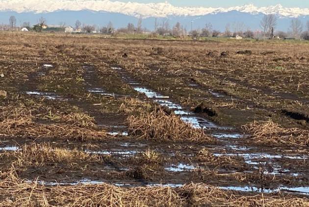 Lega Ambiente Lombardia INQUINAMENTI REFLUI ZOOTECNICI: TOCCA  AL FIUME OGLIO