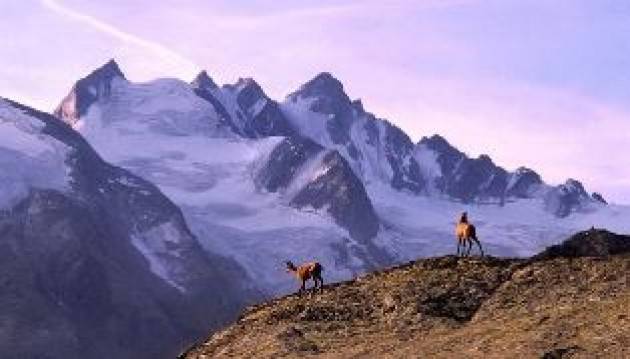 TRE PARCHI ITALIANI NELLA ''GREEN LIST'' DELL’IUCN