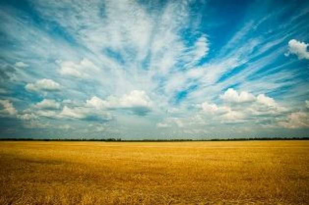 AL VIA LA PRIMA RIUNIONE DEGLI ESPERTI AGRICOLI PER IL G20