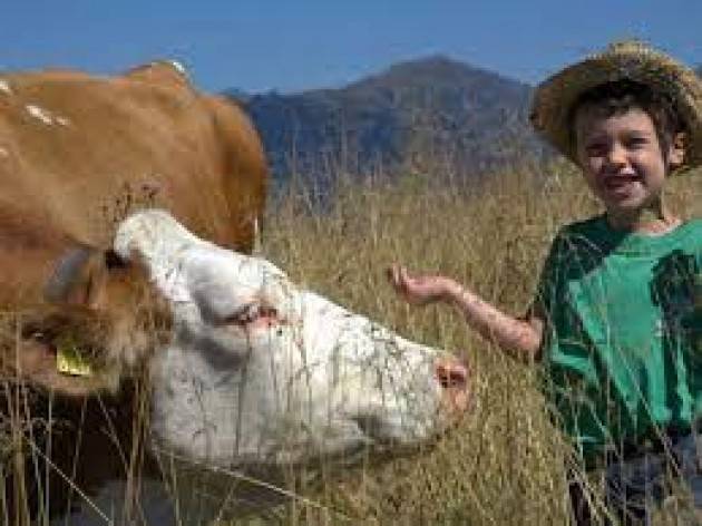 Progetto didattico, ''una mucca per amica'' con le allevatrici di Coldiretti