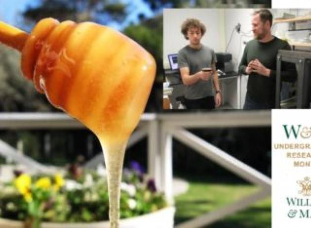 L’eredità nucleare della Guerra Fredda: cesio-137 nel miele Usa