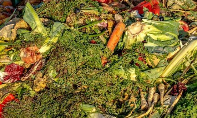 Meno spreco alimentare = più sostenibilità, più accesso al cibo e meno carenza