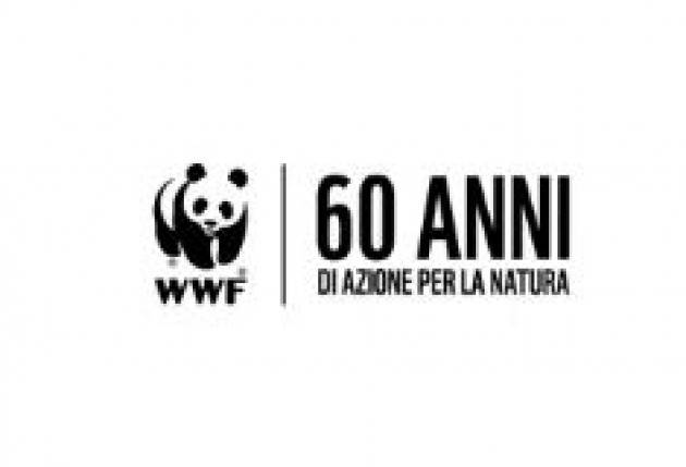 IL WWF COMPIE 60 ANNI