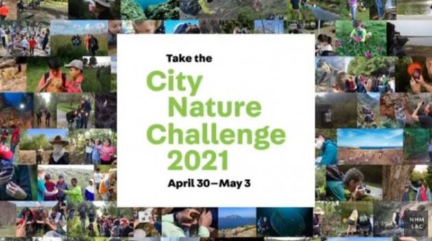 CITY NATURE CHALLENGE