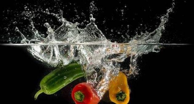 WATER TO FOOD