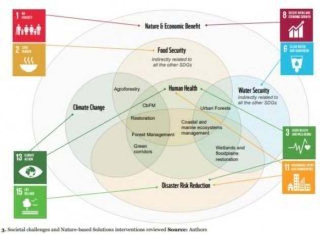 Dagli ecosistemi dipendono 1,2 miliardi di posti di lavoro