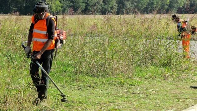 Cremona Iniziati gli sfalci dell’erba, in meno di un mese saranno conclusi