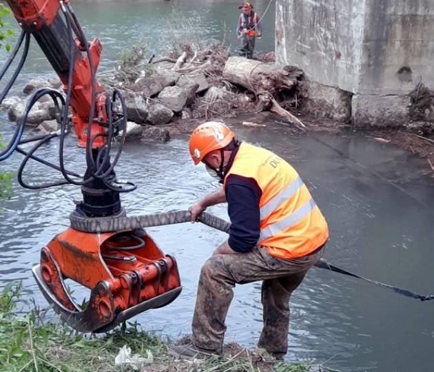 Crema Ponte di via Cadorna: rimossi i tronchi  con l’aiuto del Dunas