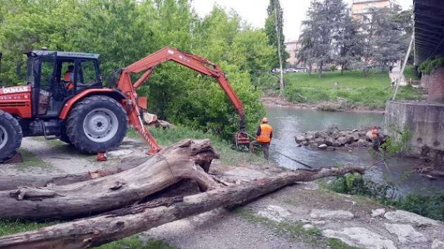 Crema Ponte di via Cadorna: rimossi i tronchi  con l’aiuto del Dunas