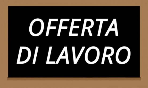 Attive 163 offerte lavoro CPI 11/05/2021 Cremona,Crema,Soresina e Casal.ggiore
