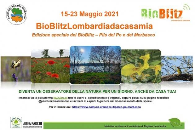 Cremona Dal 15 al 23 maggio appuntamento con Bioblitz 