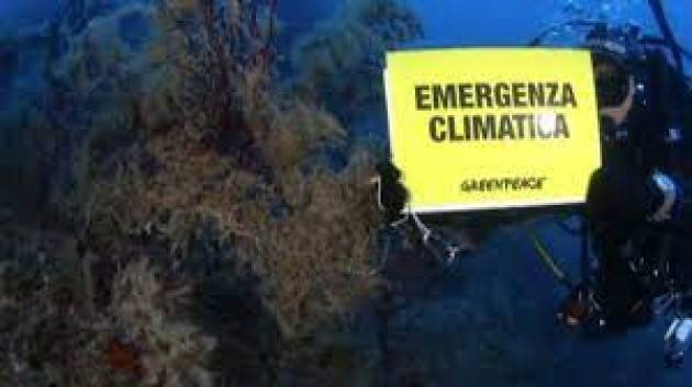 Greenpeace: mare italiano sempre più caldo e perdita di biodiversità