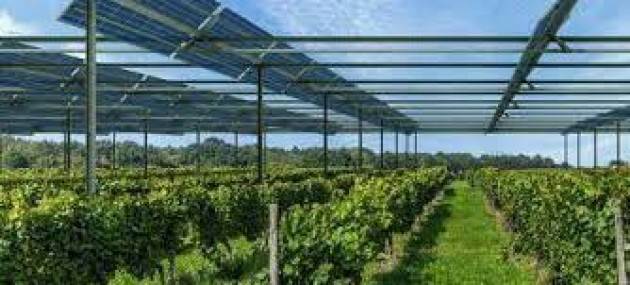 Ecco come l’agrivoltaico può contribuire ad aumentare la resilienza del settore agroalimentare