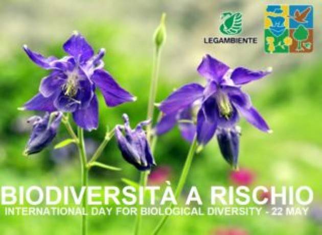 In Italia continua la perdita di flora e fauna
