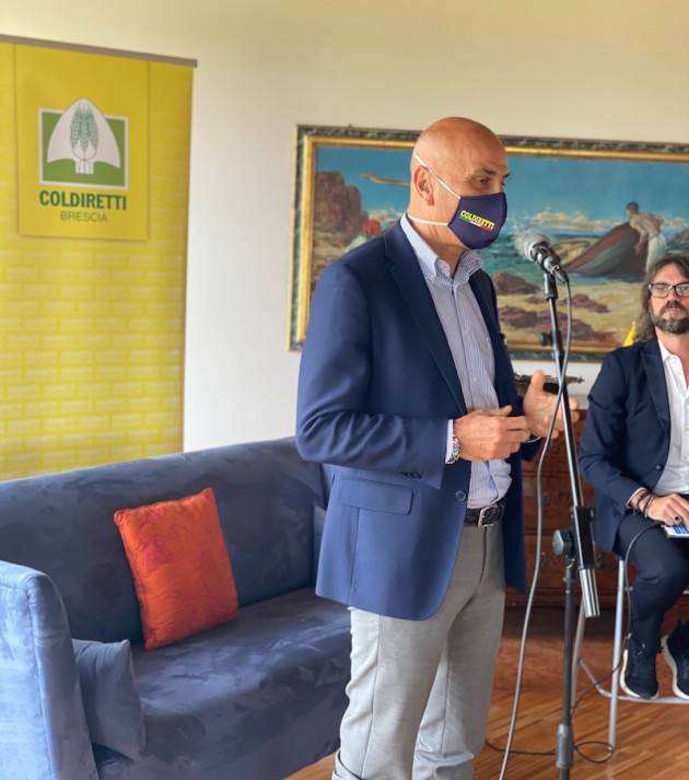 Progetto VI.TE 4.0: presentati i risultati della sperimentazione nei vigneti bresciani