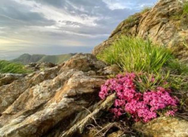 Mutamenti climatici e tutela del paesaggio e della biodiversità, servono regole dettagliate e uniformi