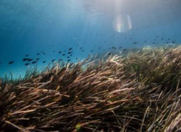 La nuova Strategia nazionale per la biodiversità punterà a difendere il capitale naturale