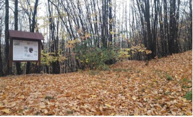 Calyx IL SENTIERO DELLE CARBONAIE TREKKING NATURALISTICO il 5 giugno