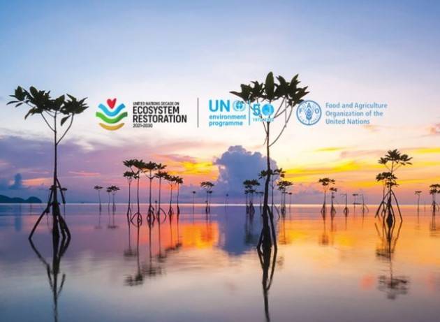 Ripristinare la biodiversità su un miliardo di ettari degradati per rispettare gli impegni ambientali globali