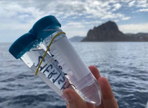 Monitorare le microplastiche nel Mediterraneo con la citizen science 