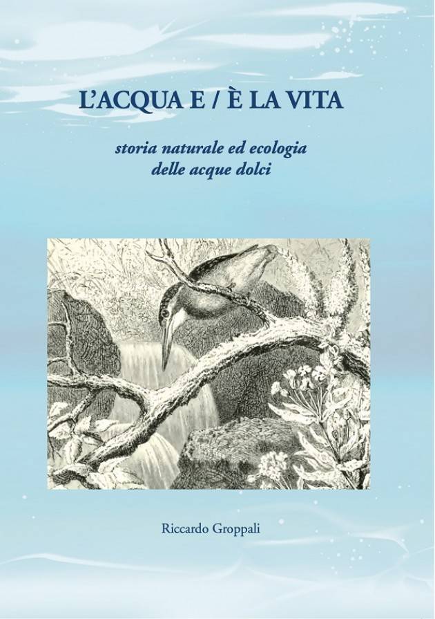 Padania Acque e Fondazione Banca dell’Acqua presentano L’acqua e / è la vita.