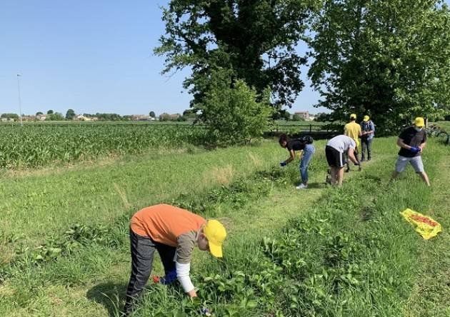 Coldiretti Cremona: Piccoli Frutti e Cr_Wave, incontro di saperi e di raccolta