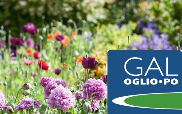 GAL Oglio Po 24 giugno,webinar progetto ClimActive2050