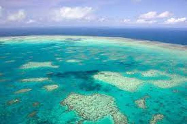 La Grande Barriera Corallina Australiana sia dichiarata Patrimonio dell’umanità in pericolo