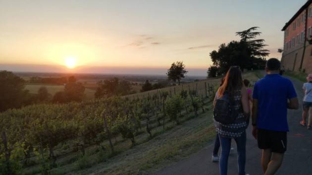 Calyx  PASSEGGIATA SERALE ALL’ ORATORIO DEL PONTASSO  