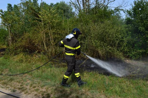 DA FUOCO ALLE PIANTE : RICERCATI DEI GIOVANI