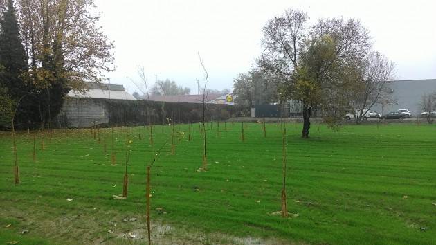 Lega Ambiente Cremona Intervento edilizio in via Trebbia e taglio aree a bosco
