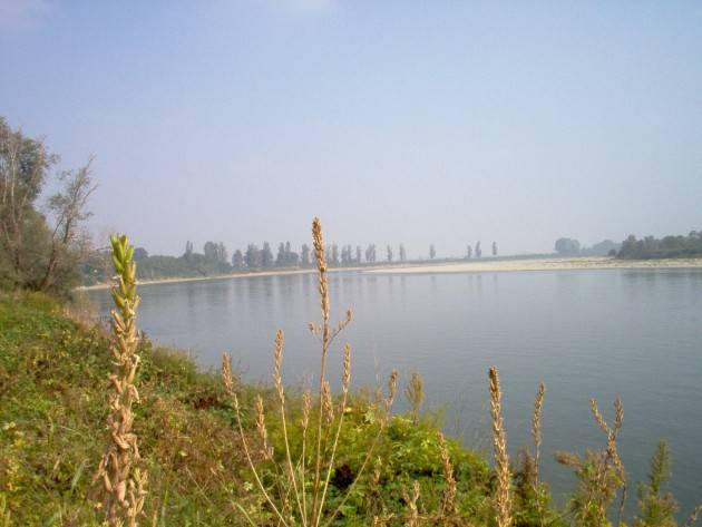 Cremona Rassegna Letture sul Po, un programma ricco di appuntamenti