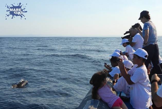 Catania  gli studenti con Blu di MareCamp puliscono il mare