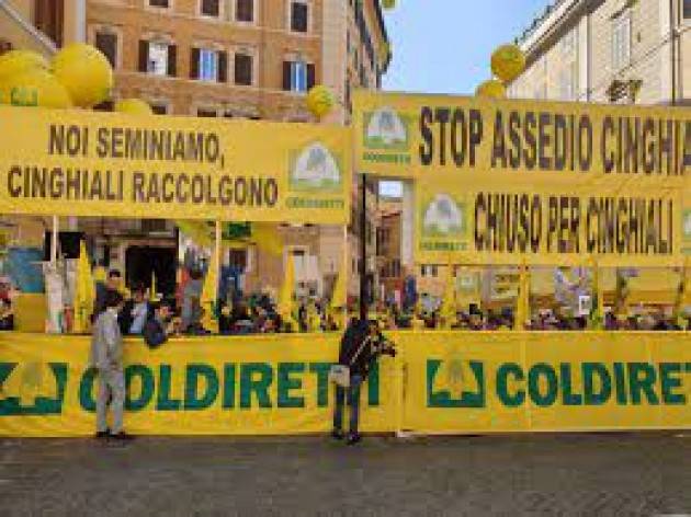 Anche gli agricoltori cremonesi in piazza per protestare contro l'Invasione degli animali selvatici