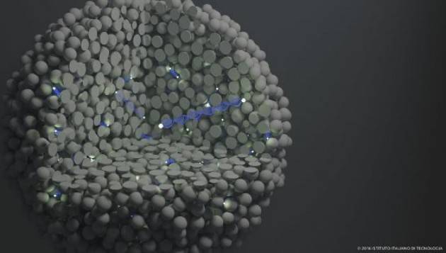 Una nano-sonda per fare luce sul corpo umano