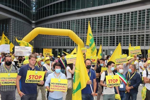 Coldiretti Cinghiali, protesta degli agricoltori: tanti cremonesi  a Milano