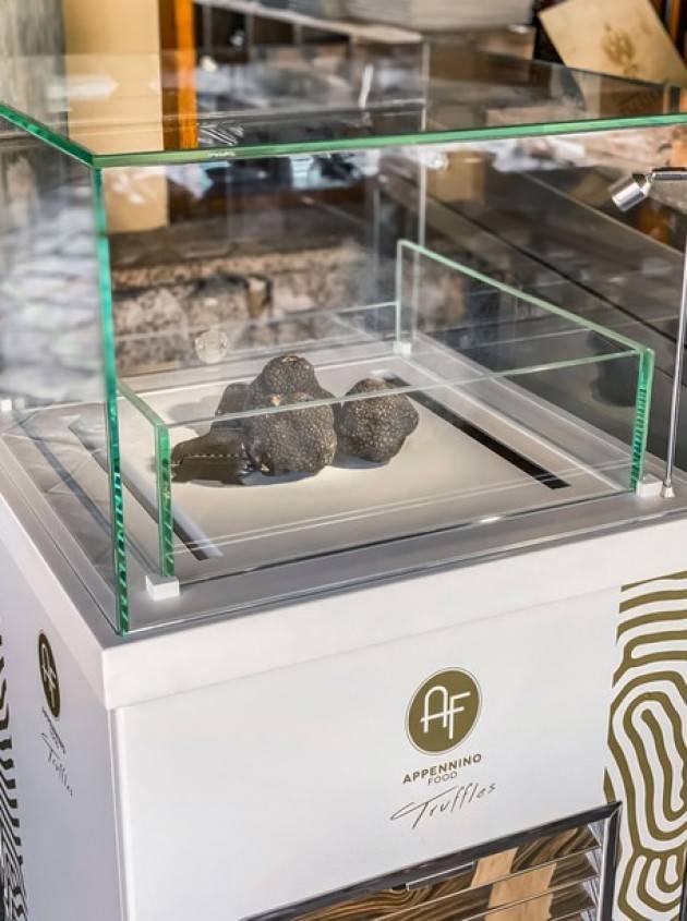 Tartufo tutto l’anno dall’Appennino bolognese