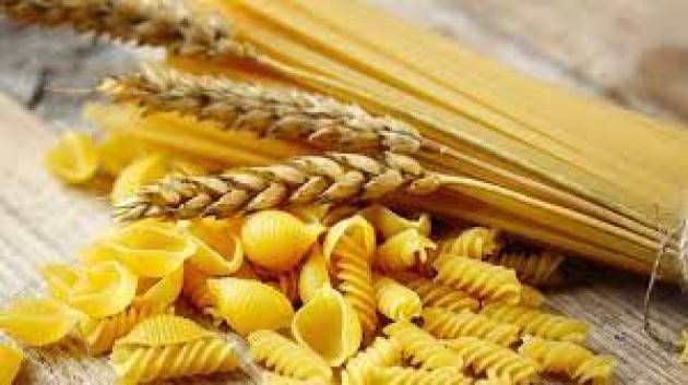 Spaghetti ma non solo: i 10 formati di pasta più amati dagli italiani