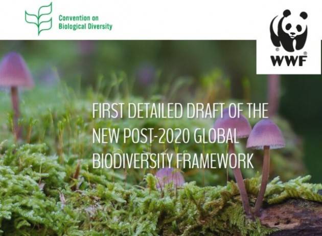 Prima bozza del post 2020 global biodiversity framework CBD