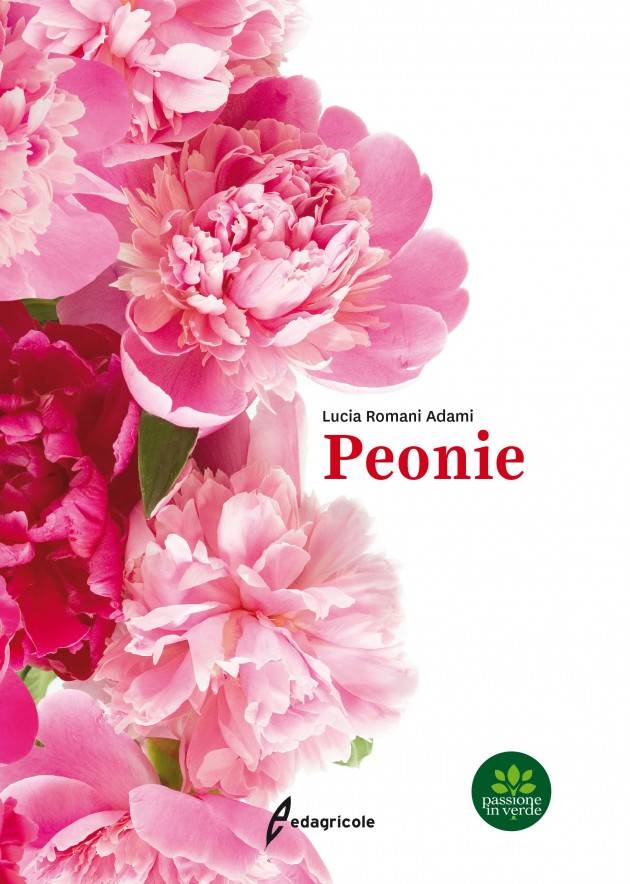 EDAGRICOLE PEONIE  | Lucia Romani Adami